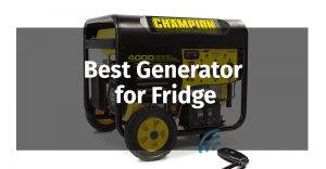 Best Generator for Fridge