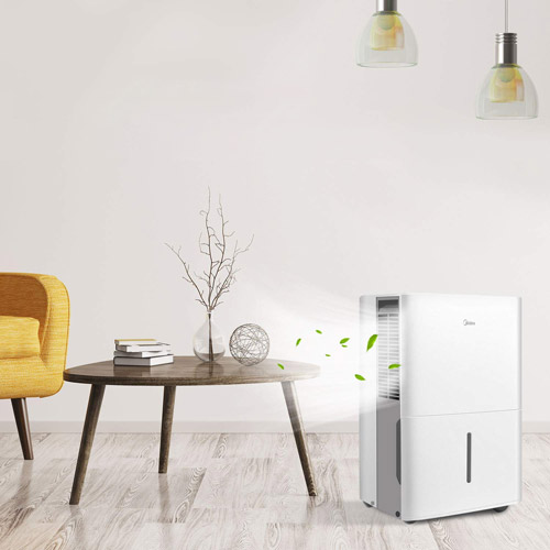 8 Best Dehumidifiers with Air Purifier Combo (Reviews) 2021 Globo Tools