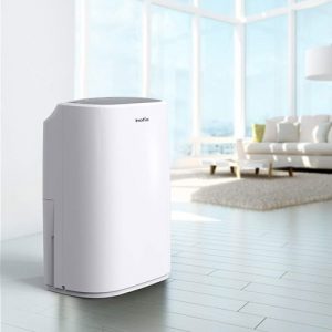 Best Dehumidifier for 1000 Sq Ft