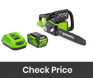 Greenworks 16 Inch Cordless Chainsaw