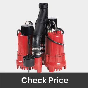 Red Lion 14942771 Sump Pump