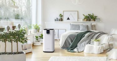 Best Dehumidifiers for Allergy Sufferers