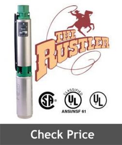 FE Myers 2NFL52 12 Rustler Pump