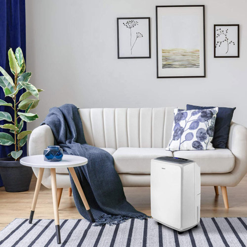 5 Best Dehumidifiers for Small Apartment To Buy In 2021 Globo Tools