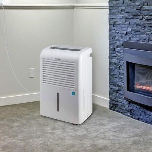 best dehumidifier for dust mite allergy reviews
